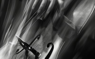 La Real Sociedad Económica Matritense propone un final de febrero de cultura, historia y música en la Plaza de la Villa